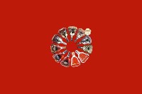 舟曲县回收红酒